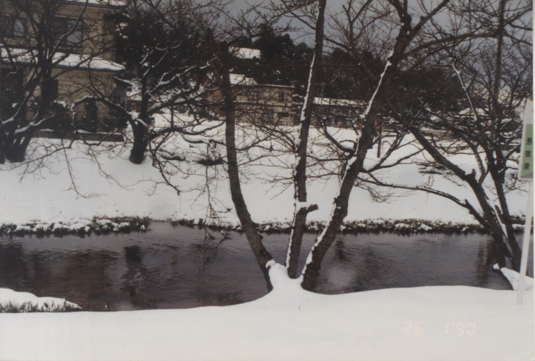 Snapshot of a snowy riverbank (26 Jan 1990)